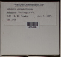 Image Associated With the Occurence